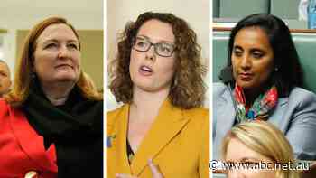 Labor backbenchers agitate for JobSeeker increase ahead of federal budget