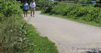 Duo offer ‘adventurous hikes’ via practical book showing off Halton, Hamilton and Niagara trails