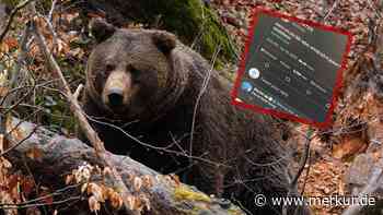 „Wenn ich ein Bär wäre ...“: Viraler Tweet nimmt Bayern aufs Korn – und das sehr erfolgreich