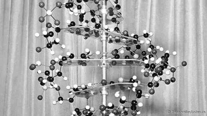 Rosalind Franklin’s role in DNA discovery gets a new twist