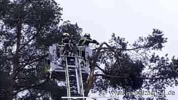 Abgebrochene Baumkrone gefährdet Fußgänger und Straßenverkehr in Waldkraiburg