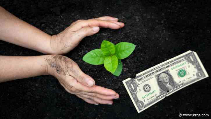 New Mexico puts millions towards Reforestation Center to recover from wildfire