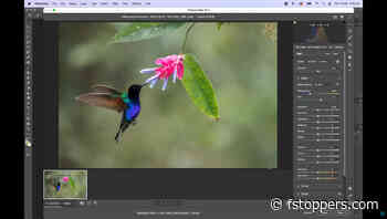 Editing Tips That Can Transform Your Photos