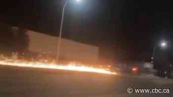 Driver in high-speed chase that ended near Portage la Prairie rammed officers' vehicle, Winnipeg police say