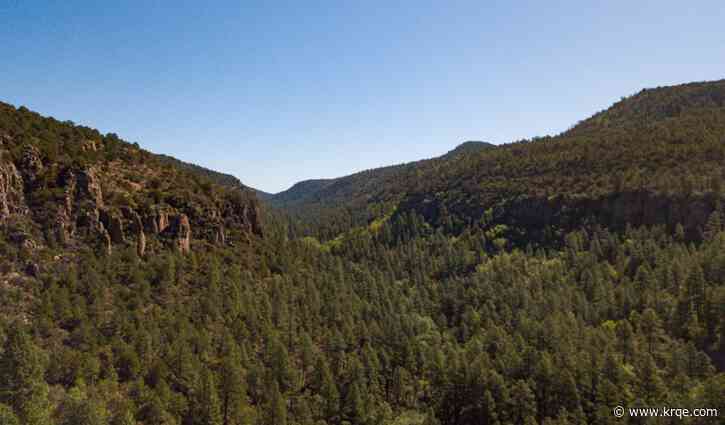 Slaughter Mesa prescribed burn set for Gila National Forest