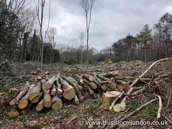 Our World, Our choice- Bhumiekaa Boyapati, Newstead wood school