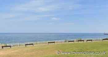 Woman taken to hospital after being rescued from sea at Sunderland's Cat and Dog Steps