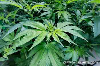 Louisiana GOP Lawmakers Kill Bill to Decriminalize Marijuana