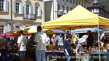 Anzeige: Erlebnisreicher Tag in Bad Wildbad