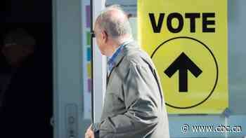 Former Conservative campaign director urges MPs to protect the next election from foreign meddling