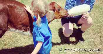 Work-life balance is impossible for young family