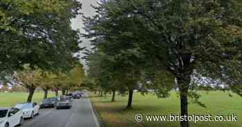 New parking charges on the Downs considered in plan to drive away van dwellers