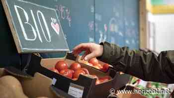 Report von OMD Germany : Warum Nachhaltigkeit bei Deutschen trotz Konsumflaute hoch im Kurs steht