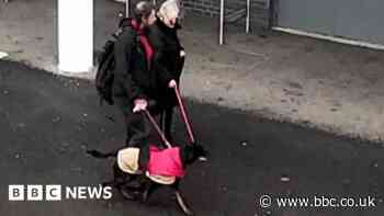 CCTV image released after dog bites child in Bristol