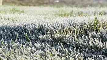 Freeze Warnings Issued Ahead of Another Cold Night in the Chicago Area, but is There Relief in Sight?