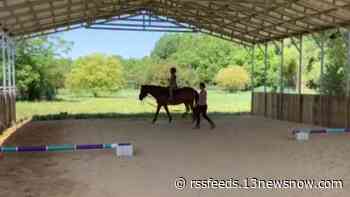 This York County nonprofit has a unique way to help kids on the autism spectrum