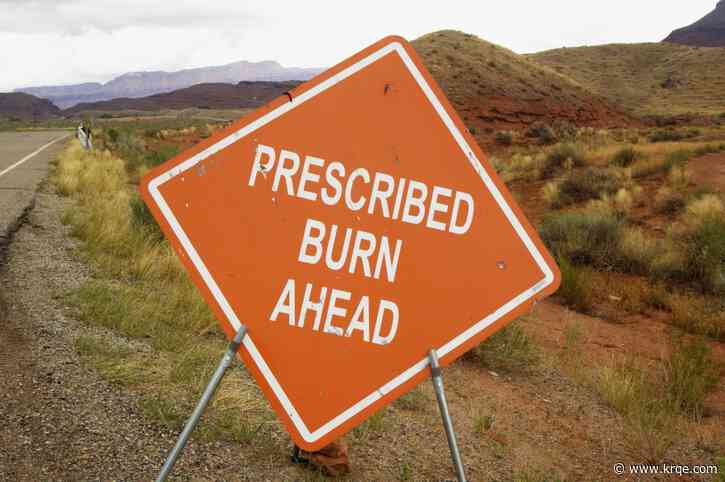 Gila National Forest personnel prescribed-burning areas near park, campground, highway