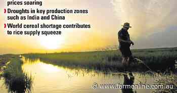 Rice sector faces biggest shortage in two decades