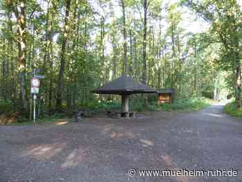 Wald, Grünanlagen und Friedhöfe