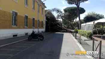 LETTORI - Albero caduto in via Ostiense
