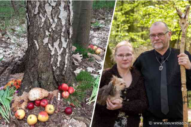 Waarom in dit bos stapels voedsel achtergelaten worden: “Dit gebeurt niet alleen in België”