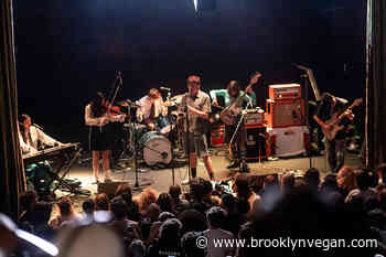 Black Country, New Road announce North American tour (Knockdown Center included)