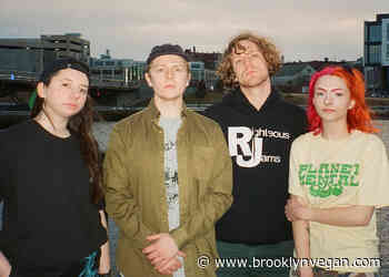 Hardcore band Anklebiter announce new EP (new track & exclusive pink 7″ pre-order)