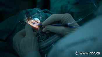 Critics denounce 'zombie' push for private health care as Quebec data shows higher costs