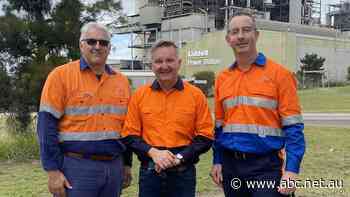 Energy Minister offers fresh assurances Liddell Power Station's closure will not lead to blackouts