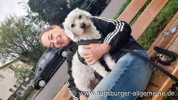 Vermisster Malteser-Rüde "Flocki" nach sechs Tagen wiedergefunden