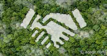 ESG and ad agency reviews—how DE&I and sustainability are showing up in pitches