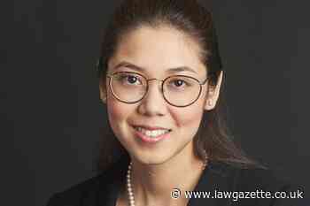 Home Office checking lawyers' regulatory credentials, MPs told