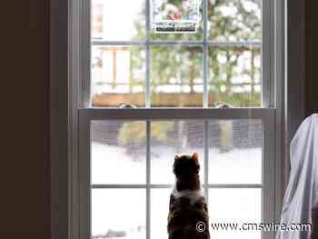 ICYMI: Integrating Generative AI, Mastering Prompt Engineering, Tips for Handling Customer Rage