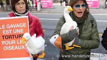 Ständeratskommission verlangt Deklarationspflicht für Stopfleber