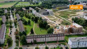 Ein Teil der Grünanlage im Baugebiet Wiley-Nord 2 bleibt erhalten