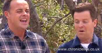 I'm A Celebrity Ant and Dec become target of foul mouthed 'rant' from contestant