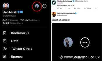 Does Elon Musk have a secret second Twitter account?