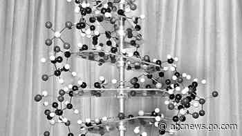 Rosalind Franklin's role in DNA discovery gets a new twist