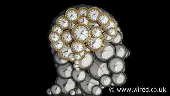 The Quest for Longevity Is Already Over