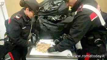 Presa "lady oppio": trasportava 45 chili di droga in cinque valigie. La denuncia da un tassista