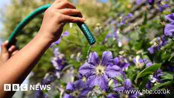 South West Water hosepipe ban is extended