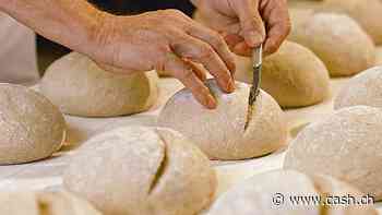 Schweizer Börsenüberflieger: Wie viel Kurspotenzial bietet diese Aktie noch?