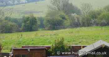 UK Health Security Agency investigates as villagers suffer 'seizures and stroke symptoms'