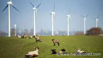 Aktienstrategie: Weshalb kleine Unternehmen gute Chancen an der Börse haben