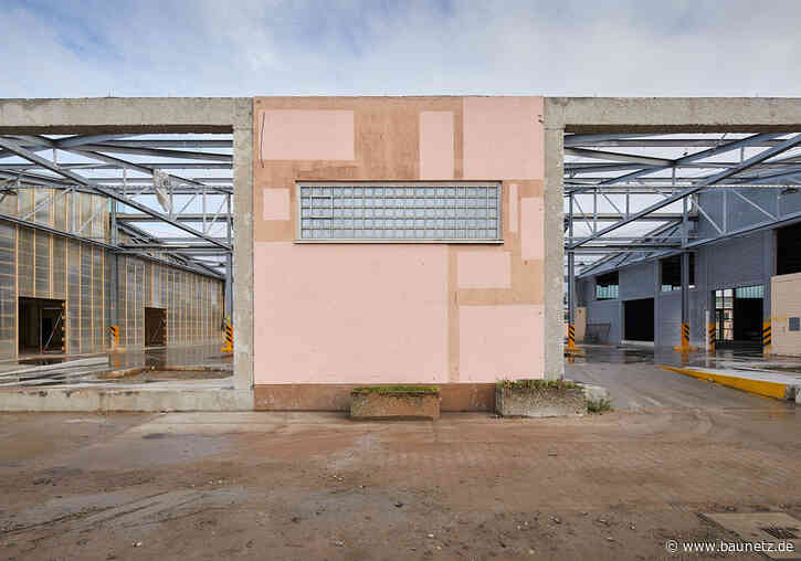 Paradedisziplin Zirkularität
 - Baustellenbesuch in der Mannheimer U-Halle von Hütten & Paläste