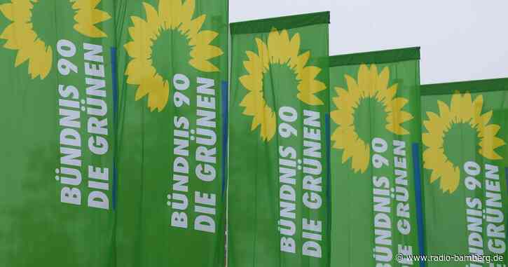 Bayerns Grüne fordern Nachbesserung beim Heizen mit Holz