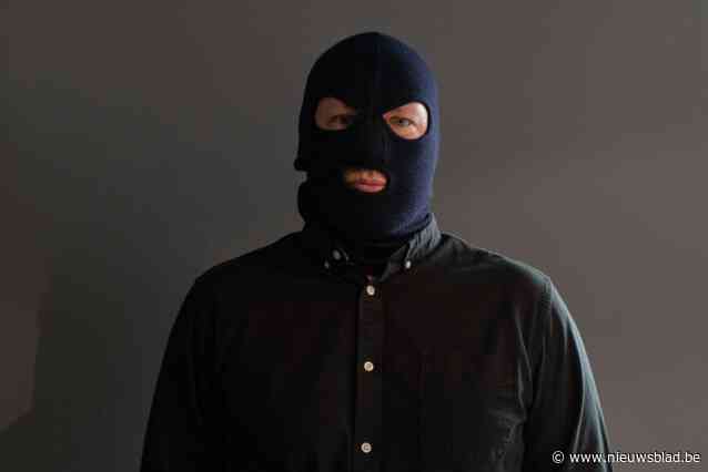 Mogelijke inbrekers met bivakmutsen en koevoet opgepakt na klopjacht politie, maar duo wordt onmiddellijk vrijgelaten