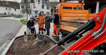 Ahorn: Resistente Pflanzen gegen den Wassermangel - Landschaftspfleger legt Testflächen an