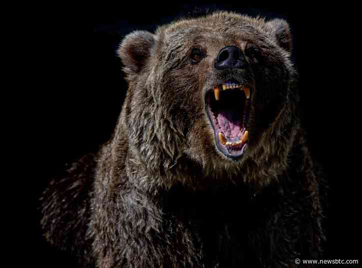 Bitcoin Bearish Signal: NVT Golden Cross Enters Overbought Zone