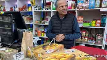 April is mango month in Toronto. Here's where to find the most prized fruit